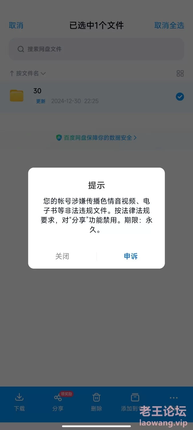 Screenshot_2024-12-30-22-29-30-879_com.baidu.netdisk.jpg