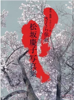 [转载搬运] 《樱花传奇》松坂庆子(毛利充裕-撮影)(バウハウス)-[77P-2... [77P+20.9M][百度盘]